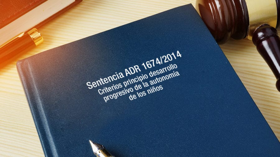 criterios principio desarrollo progresivo