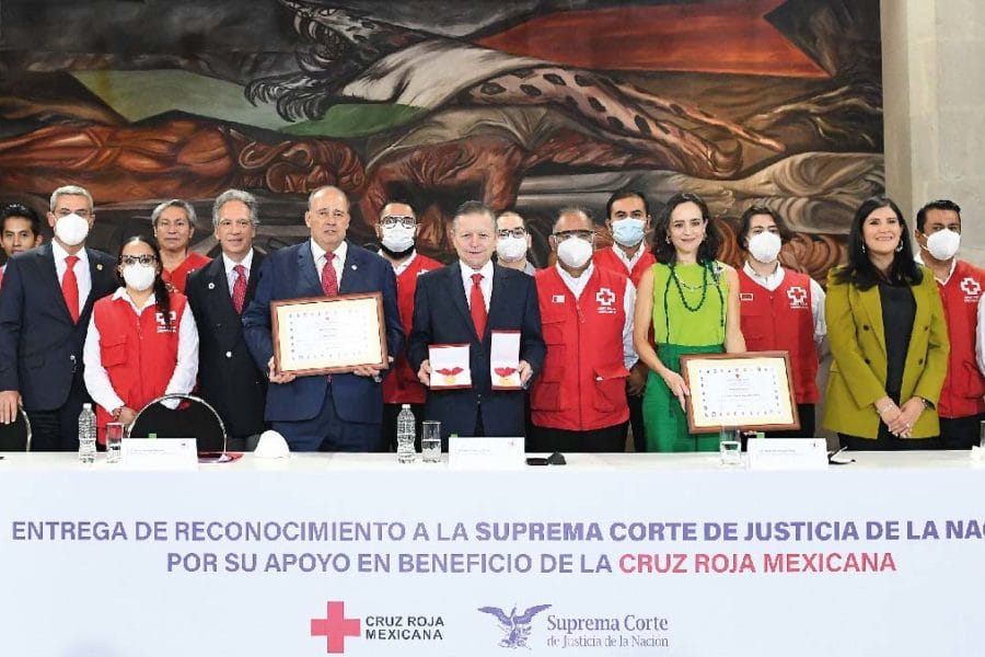 cruz roja reconocimiento